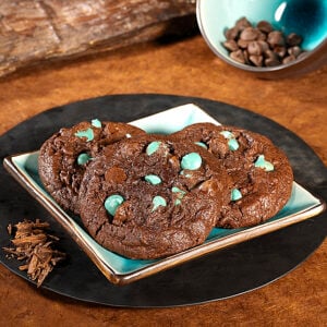 CHIP Chocolate Mint Chip