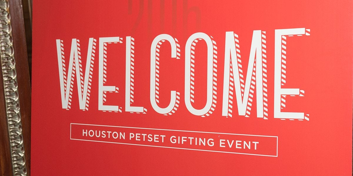 Houston Pet Set Featured Image