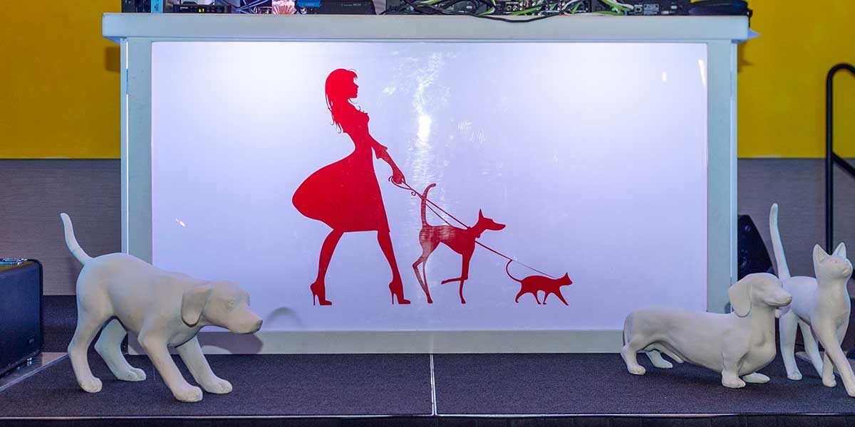 Houston Pet Set Soiree 2018 Main