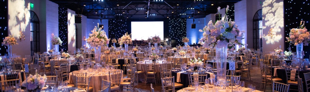 Lone Star Museum Blue Skys Gala Banner